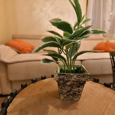 Brvnara Mont Zlatibor